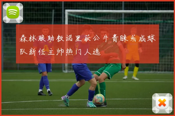 森林狼助教诺里获公牛青睐或成球队新任主帅热门人选