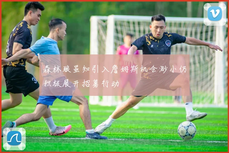 森林狼虽知引入詹姆斯机会渺小仍积极展开招募行动